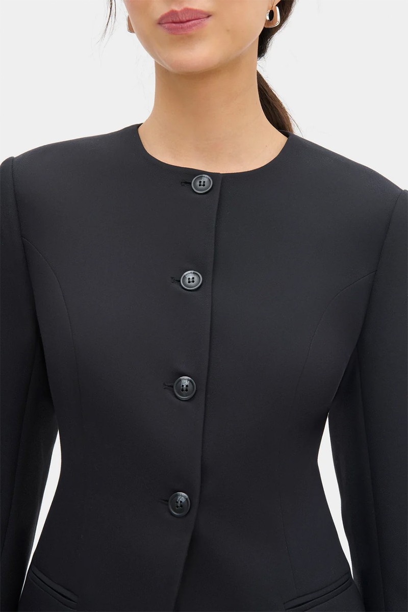 Daphne Waisted Blazer from Aligne