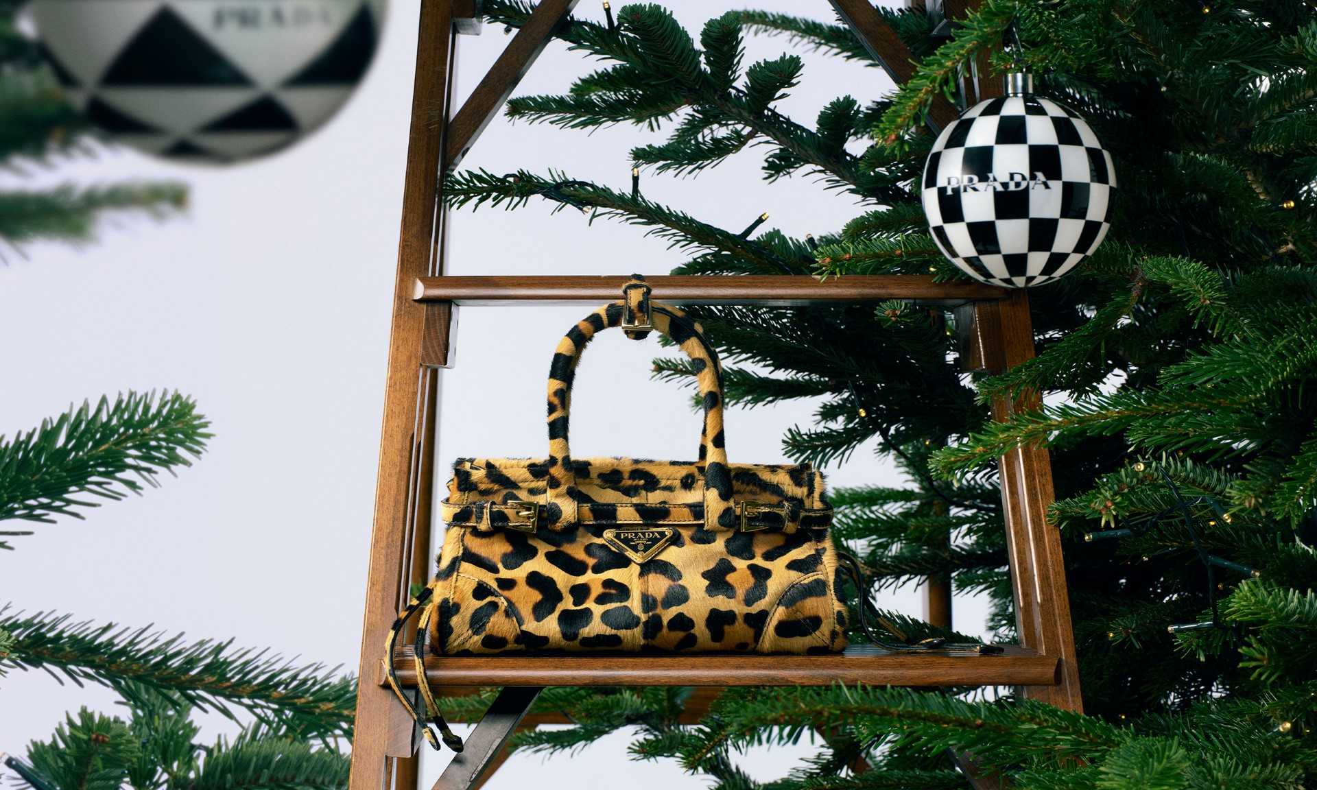 Bonnie Medium Printed Leather Handbag