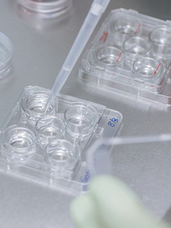 How & Why Nana Decided To Freeze Her Eggs